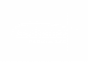 Aschauer IT &amp; Business easy-learning